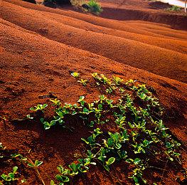 CDPR在测试《赛博朋克2077》2022年首个更新